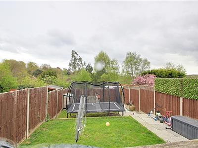 Picture 10